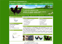 沧州品搜网站建设,沧州网站建设,免费建站,沧州企业建站,沧州做网站,沧州品搜建站